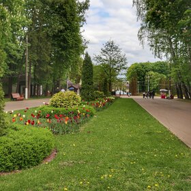 В парке им. П.П. Белоусова